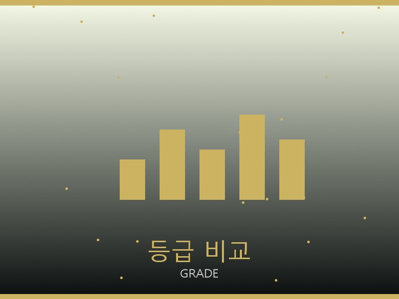 뉴펄란스 레플리카 사이트 등급 기준 비교